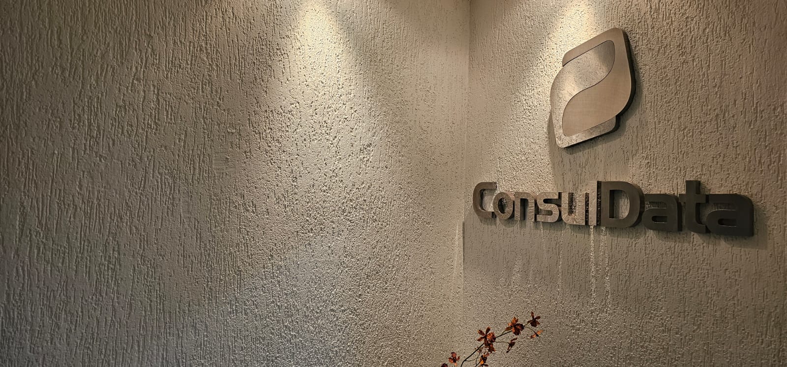 Marca ConsulData instalada na parede da empresa