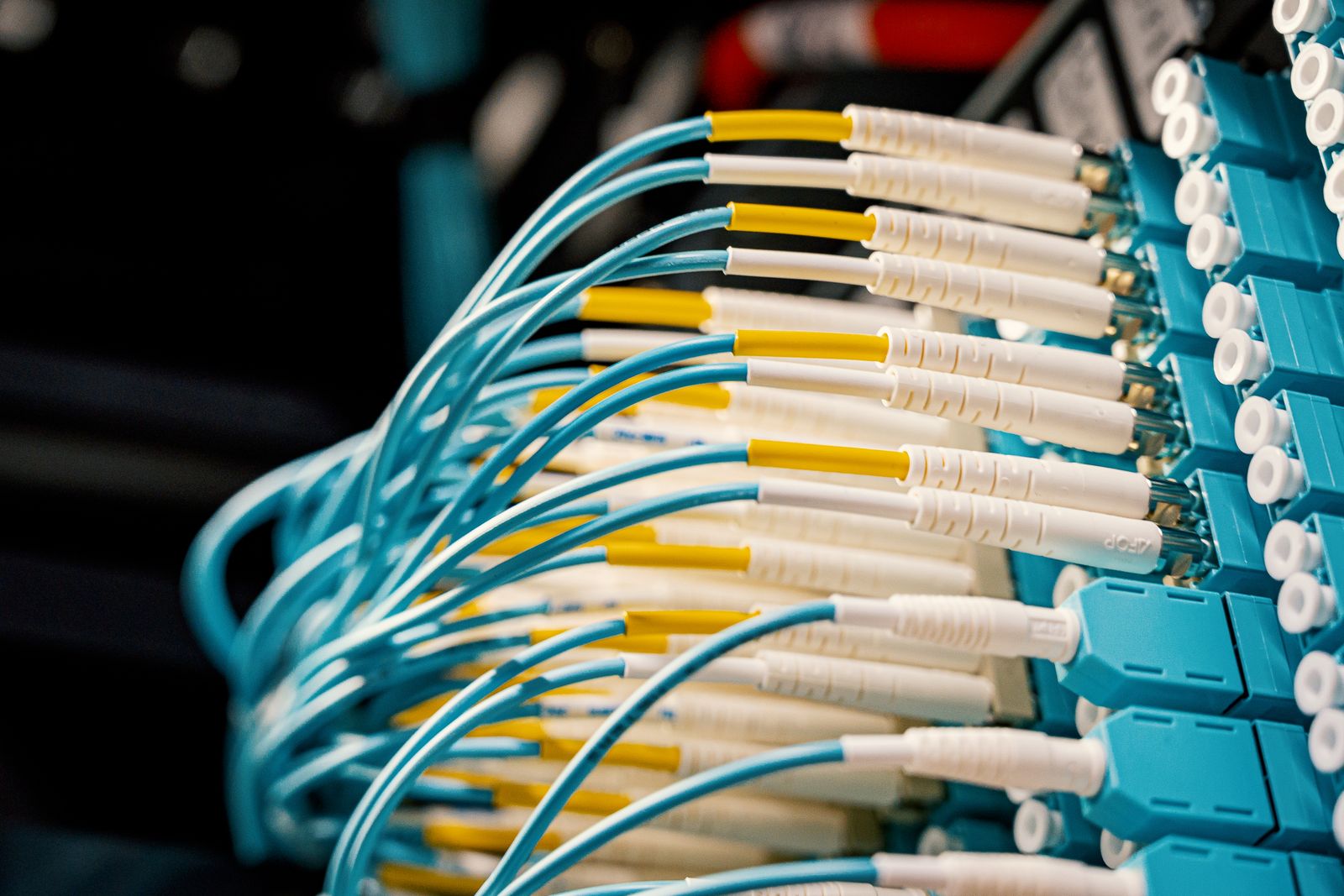 Conexões de fibra óptica organizadas em um patch panel de infraestrutura de rede