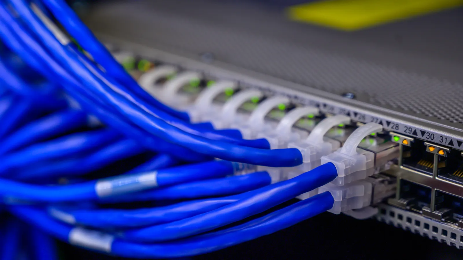 Blue Ethernet cables connected to a network switch