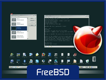 1_cdt_consultoria_free_bsd2